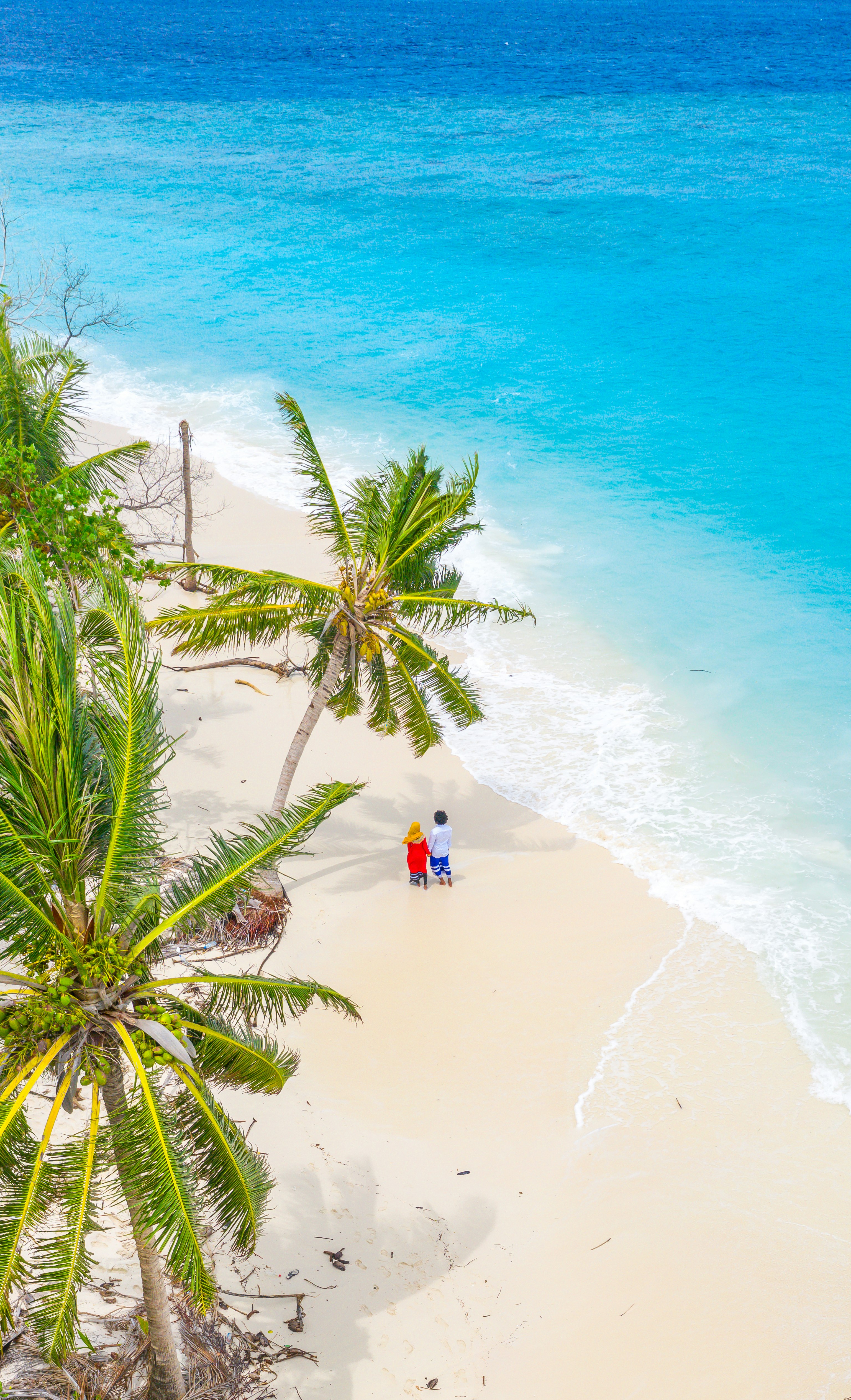 people on beach during daytime